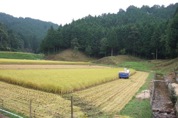 お米栽培環境