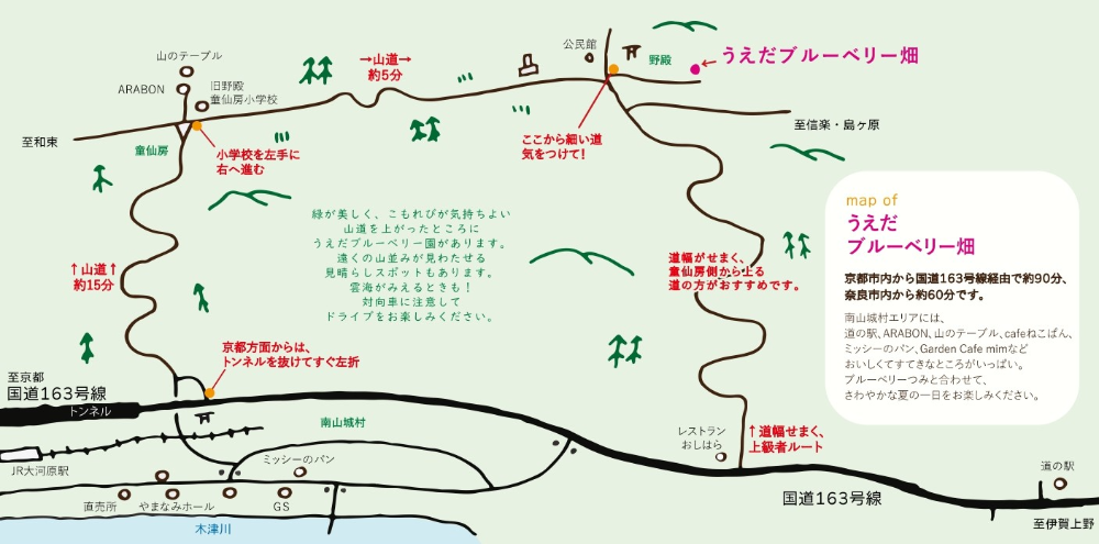 うえだブルーベリー畑 京都市内から国道163号線経由で約90分、奈良市内から約60分です。